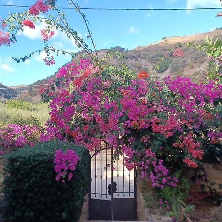 Heraklion Comfy House With Mountain View Екстериор снимка