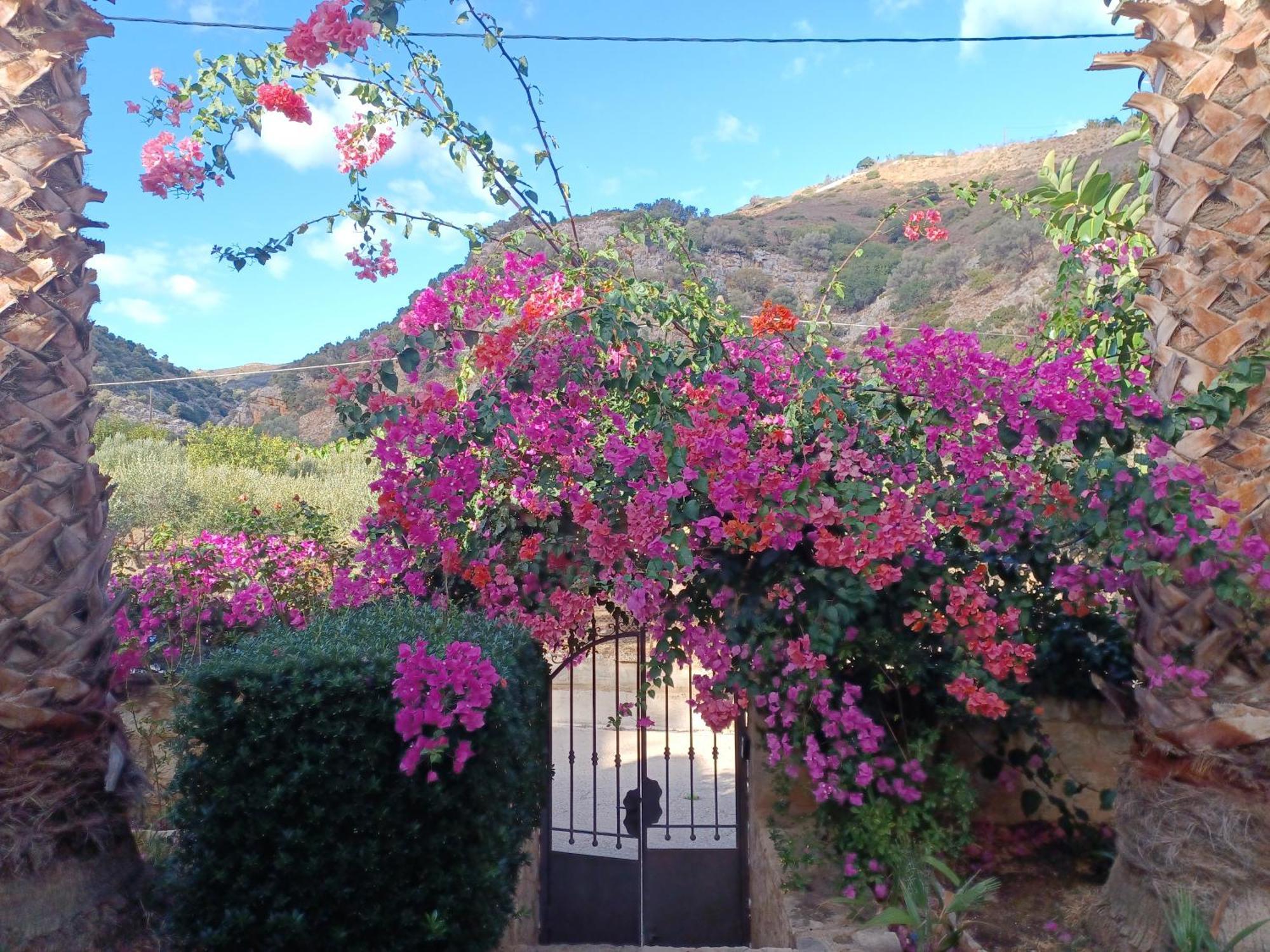 Heraklion Comfy House With Mountain View Екстериор снимка