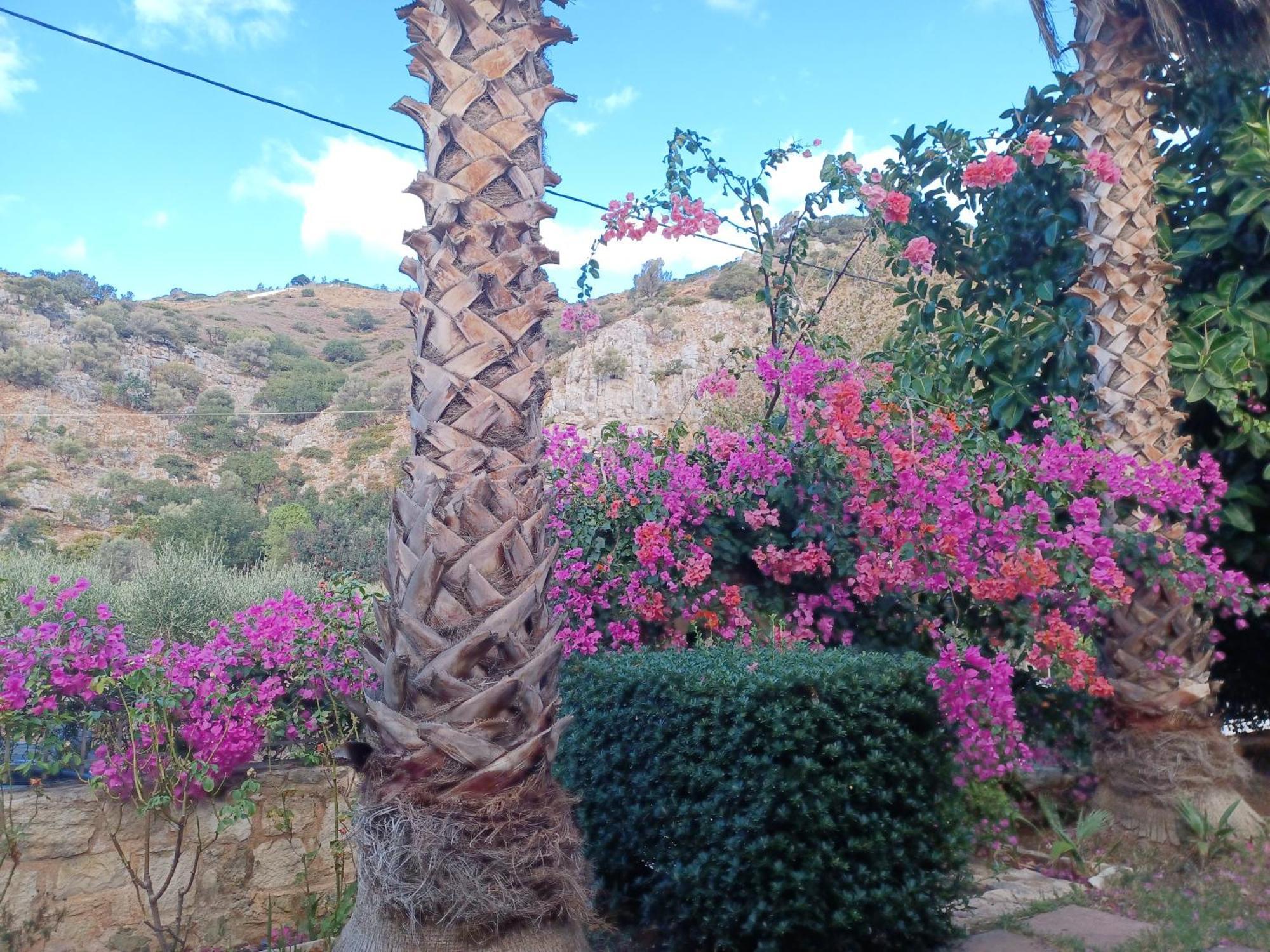Heraklion Comfy House With Mountain View Екстериор снимка