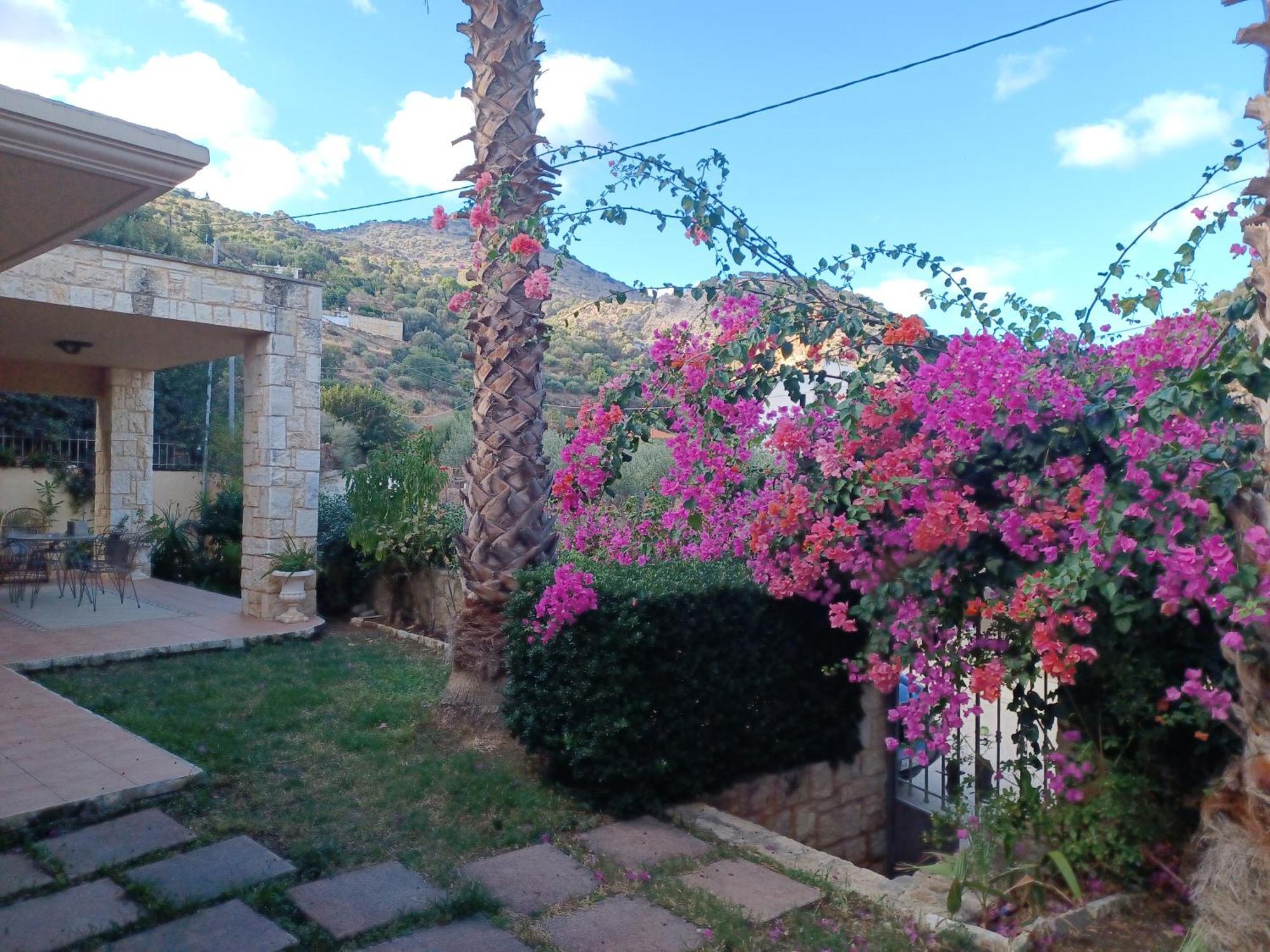 Heraklion Comfy House With Mountain View Екстериор снимка
